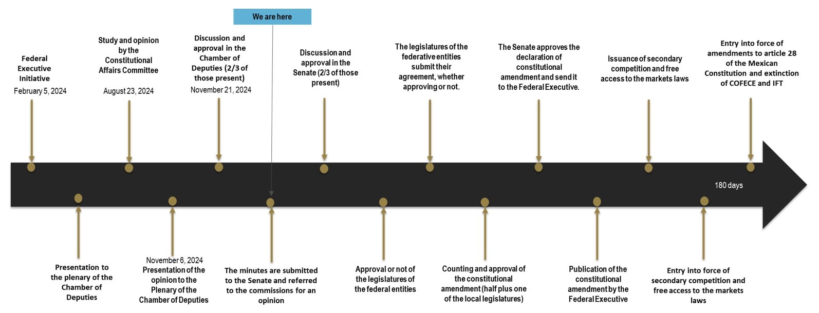 Timeline showing the Article 28 legislative process.