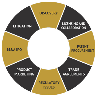 Life Sciences & Medical Technology | Capabilities | Greenberg Traurig LLP